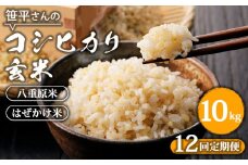 【定期便】【令和6年産】八重原産コシヒカリ 玄米【10kg×全12回 合計120kg】｜笹平さんのお米 八重原米 はざかけ はぜかけ