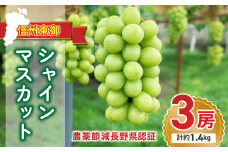 【先行受付2025年発送】シャインマスカット3房 贈答化粧箱入（約1.4kg）農薬節減長野県認証｜東御こもだ果樹園　※2025年9月下旬~10月下旬に発送予定
