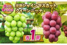 【先行受付2025年発送】皮ごと食べる2色ぶどうギフトセット（シャインマスカット、クイーンニーナ）｜東御こもだ果樹園　※2025年10月上旬～10月下旬に発送予定