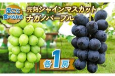 【先行受付2025年発送】皮ごと食べる2色ぶどうギフトセット（シャインマスカット、ナガノパープル）｜東御こもだ果樹園　※2025年10月上旬～10月下旬に発送予定