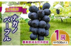 【先行受付2025年発送】大房ナガノパープル1房 500g以上（贈答用）農薬節減長野県認証｜東御こもだ果樹園  ※2025年9月上旬～9月下旬に発送予定