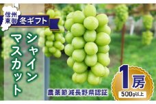 【先行受付2025年発送】冬ギフト・シャインマスカット1房 贈答化粧箱入（500g以上）農薬節減長野県認証 ｜東御こもだ果樹園　※2025年12月1日～12月25日に発送予定