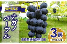 【先行受付2025年発送】大房ナガノパープル3房 合計約1.4kg（贈答用）農薬節減長野県認証｜東御こもだ果樹園  ※2025年9月上旬～9月下旬に発送予定