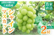 先行受付2025年発送【土屋農園】農家直送！シャインマスカット２房（約1.2kg）※2025年9月下旬～10月中旬順次発送