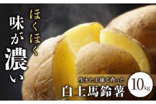 先行受付【里山JAPAN】長野県産新じゃがいも 生きた土壌で育った『白土馬鈴薯10kg』｜2025年7月～8月発送予定