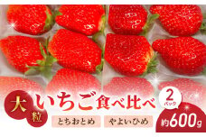 大粒！田口さんのいちご（とちおとめ やよいひめ セット）2パック（600g）｜完熟 食べ比べ 苺 イチゴ フルーツ 安心 土耕栽培