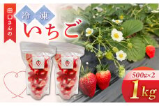 【信州ファーム田口】カット冷凍いちご（とちおとめ、やよいひめ混在）1kg（500g×2袋）