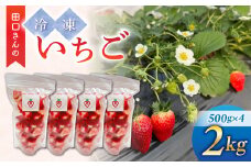 【信州ファーム田口】カット冷凍いちご（とちおとめ、やよいひめ混在）2kg（500g×4袋）