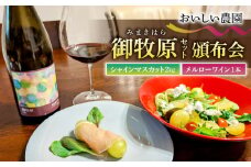 【御牧原(みまきはら)おいしい農園】御牧原セットB（シャインマスカット2kgとメルローワイン1本）　頒布会