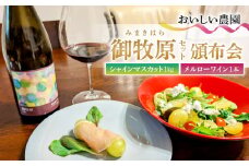 【御牧原(みまきはら)おいしい農園】御牧原セットA（シャインマスカット1kgとメルローワイン1本）　頒布会