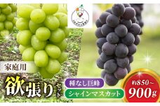 【おがわら農園】家庭用欲張りセット！（シャインマスカット1房・種無し巨峰1~2房）約850～900g