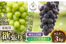 【おがわら農園】家庭用欲張りセット！（シャインマスカット3房・種無し巨峰3~4房）約2.8~3kg