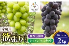 【おがわら農園】家庭用欲張りセット！（シャインマスカット2房・種無し巨峰2~3房）約1.8~2kg