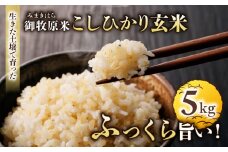 【里山JAPAN】長野県産！生きた土壌で育った御牧原米こしひかり 玄米（令和7年産）　5kg｜2025年10月上旬以降に発送予定