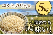 令和7年産新米予約【長野県東御市産】信州特Ａ米コシヒカリ玄米5kg｜※2025年10月より順次発送予定