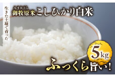 【里山JAPAN】長野県産！生きた土壌で育った御牧原米こしひかり 白米（八分づき・令和7年産）　5kg｜2025年10月上旬以降に発送予定