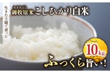 【里山JAPAN】長野県産！生きた土壌で育った御牧原米こしひかり 白米（八分づき・令和7年産）　10kg（5kg×2袋）｜2025年10月上旬以降に発送予定
