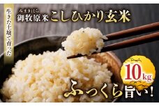 【里山JAPAN】長野県産！生きた土壌で育った御牧原米こしひかり 玄米（令和7年産）　10kg（5kg×2袋）｜2025年10月上旬以降に発送予定