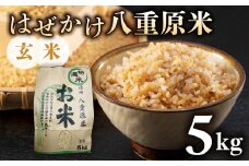 令和7年新米予約！標高700mの台地で稲作一筋の農家が育てたはぜかけ八重原米5kg（5kg×1袋）玄米　※2025年11月上旬以降順次発送｜山陽農園　コシヒカリ 特A良質米