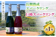 【アルカンヴィーニュ】長期熟成スパークリング＆巨峰スパークリングワイン２本セット　辛口 お酒 ギフト プレゼント 果実酒 瓶 国産 信州 長野県東御市
