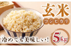 【小田農園】冷めても美味しいコシヒカリ　玄米5kg　｜※2025年9月下旬以降、発送開始予定　※着日指定不可