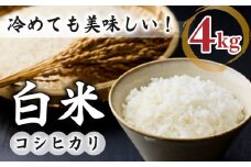 【小田農園】冷めても美味しいコシヒカリ　白米4kg　｜※2025年9月下旬以降、発送開始予定　※着日指定不可