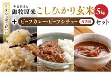 【里山JAPAN】長野県産！生きた土壌で育った『御牧原米こしひかり 玄米5kg』と小田切牧場ビーフカレー、ビーフシチューセット｜2025年10月上旬以降に発送予定