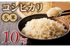 令和7年産新米！コシヒカリ玄米10kg　※2025年10月上旬以降順次発送