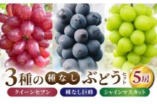【あおさく農園】3種の種なしぶどうセット（クイーンセブン・巨峰・シャインマスカット）合計5房セット　※2025年9月中旬以降発送予定｜農薬削減