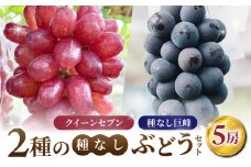 【あおさく農園】2種の種なしぶどうセット（クイーンセブン・種なし巨峰）合計5房セット　※2025年9月中旬以降発送予定｜農薬削減
