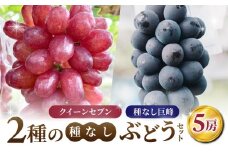 【あおさく農園】2種の種なしぶどうセット（クイーンセブン・種なし巨峰）合計5房セット　※2025年9月中旬以降発送予定｜農薬削減