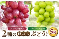 【あおさく農園】2種の種なしぶどうセット（クイーンセブン・シャインマスカット）合計5房セット　※2025年9月中旬以降発送予定｜農薬削減