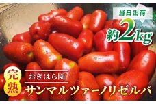 【おぎはら園】農家直送！朝採れイタリアンミニトマト「サンマルツァーノリゼルバ」約2kg