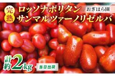 【おぎはら園】農家直送！朝採れイタリアンミニトマト2種セット「ロッソナポリタン」「サンマルツァーノリゼルバ」各約1kg