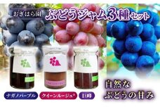 【おぎはら園】ぶどう園のぶどうジャム3種セット（巨峰、クイーンルージュ(R)、ナガノパープル）各140g 