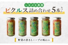 【しなぷな農園】しなぷなピクルス詰め合わせ（5本セット）｜長野県 東御市 信州