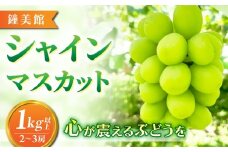 【鐘美館】標高750mで育ったシャインマスカット1キロ以上（2～3房） ※2025年10月上旬以降順次発送