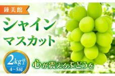 【鐘美館】標高750mで育ったシャインマスカット2キロ以上（4～5房） ※2025年10月上旬以降順次発送