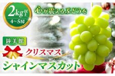 【鐘美館】標高750mで育ったクリスマスシャインマスカット2キロ以上（4～5房） ※2025年12月22日発送