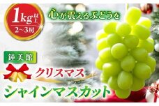 【鐘美館】標高750mで育ったクリスマスシャインマスカット1キロ以上（2～3房） ※2025年12月22日発送