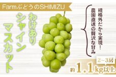 【清水農園】わけありシャインマスカット約1.1kg（2～3房）※2025年9月中旬以降順次発送予定