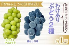 【清水農園】わけあり2種のぶどうセット（シャインマスカット、種無し巨峰）各１房 、合計2房（900g以上）　※2025年9月中旬以降順次発送予定※月曜日、金曜日の発送はお休み