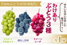 【清水農園】わけあり3種のぶどうミックスセット（クイーンニーナ、シャインマスカット、種無し巨峰）各1房、合計3房（1.3kg以上） ※2025年9月中旬以降順次発送予定