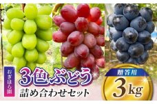 【おぎはら園】農家直送！贈答用3色ぶどうの詰め合わせセット 3kg（6～10房）｜シャインマスカット、種なし巨峰、ナガノパープル 、クイーンニーナ、クイーンルージュ®など　※2025年9月中旬～10月上旬順次発送