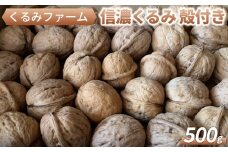 【くるみファーム】信濃くるみ　殻付き　500g｜長野県産
