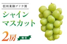 【信州東御ぶどう園】特殊農法シャインマスカット2房（1.1kg以上）贈答用