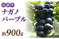 ナガノパープル ご家庭用 約900g〜1kg（2〜5房）