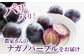 画像はイメージです