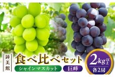 【鐘美館】標高750mで育ったシャインマスカット×種なし巨峰食べ比べセット　2kg以上 ※2025年10月上旬以降順次発送