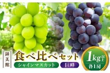 【鐘美館】標高750mで育ったシャインマスカット×種なし巨峰食べ比べセット　1kg以上 ※2025年10月上旬以降順次発送